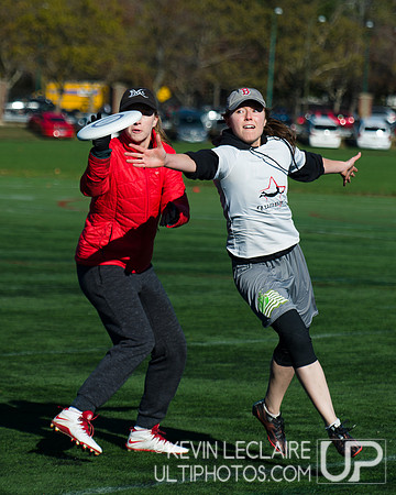 Harvard Ultimate Alumni v. current teams