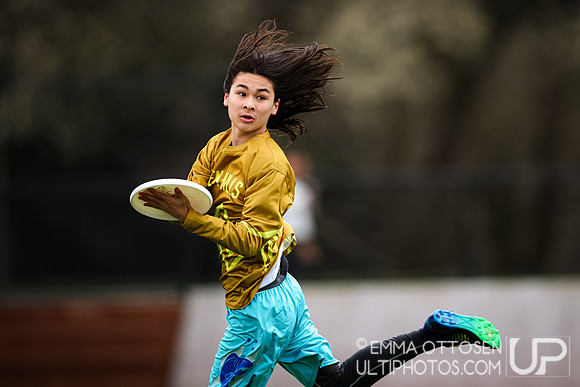 Seven Hills 2024