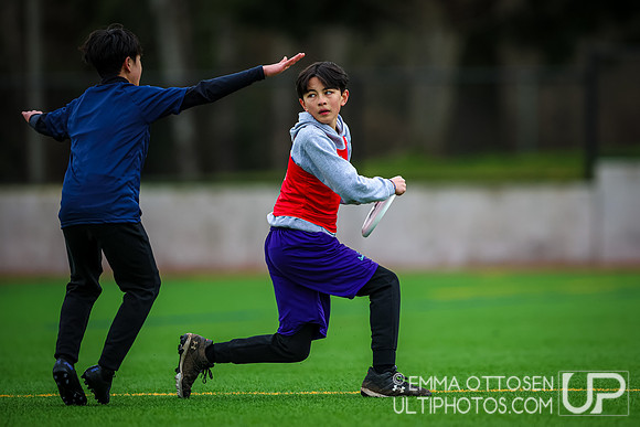 Seven Hills 2024