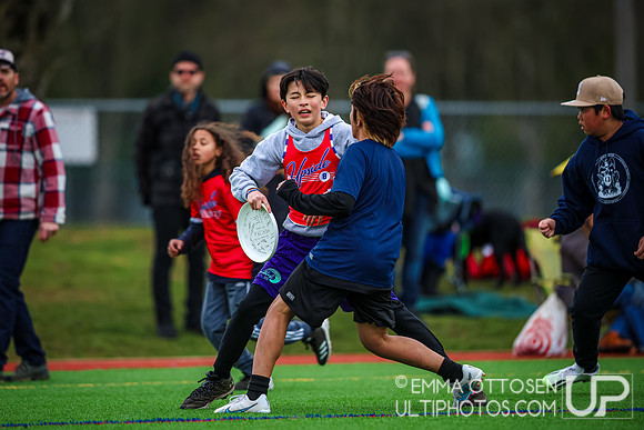 Seven Hills 2024