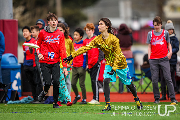 Seven Hills 2024