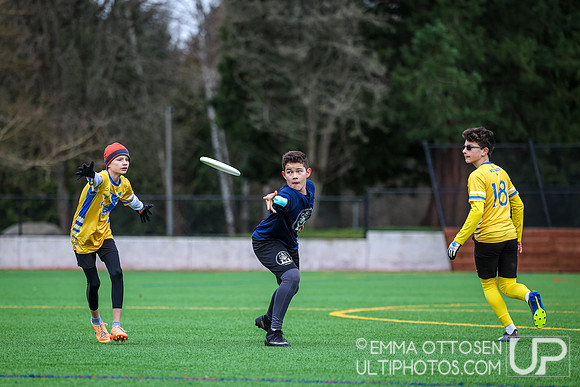 Seven Hills 2024