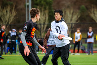 Seven Hills 2024
