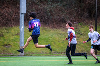 Seven Hills 2024