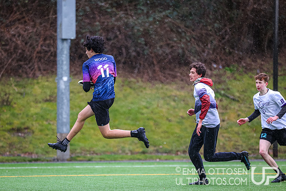Seven Hills 2024