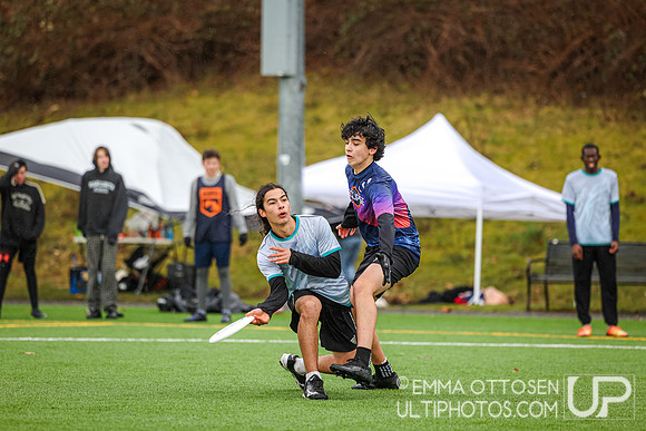Seven Hills 2024