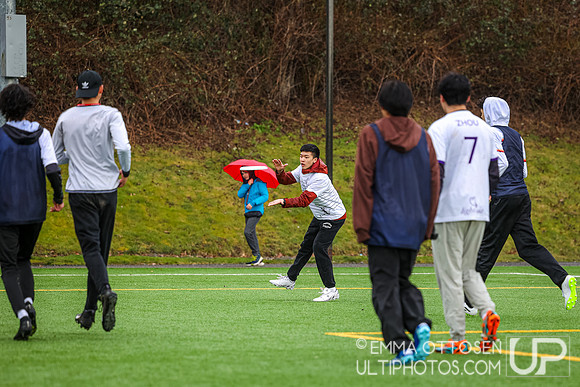 Seven Hills 2024