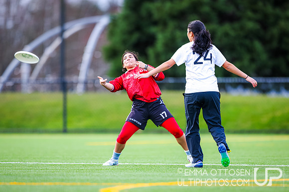 Seven Hills 2024