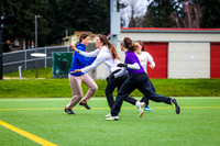 Seven Hills 2024