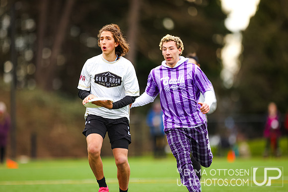 Seven Hills 2024