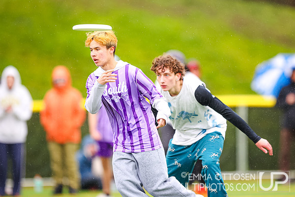 Seven Hills 2024
