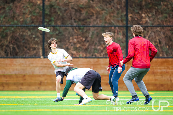 Seven Hills 2024