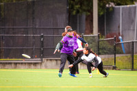 Seven Hills 2024