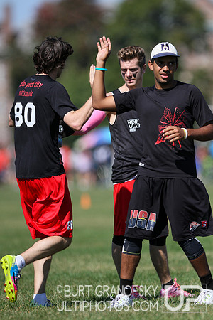 USAU Northeast Mixed Regionals 2014 -- Saturday