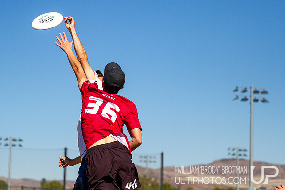 Day 4 of the WFDF 2024 World Masters Ultimate Championships