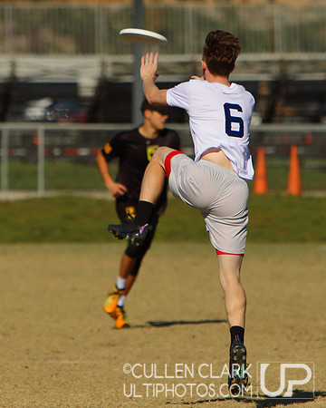 2021 USA Ultimate Division I College Championships