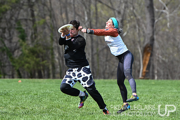 Fools Fest 2024 Saturday