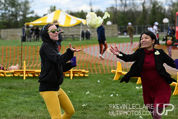 Fools Fest 2024 Saturday