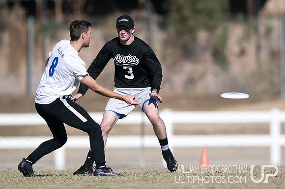 Day 3 of 2021 USA Ultimate College Championships