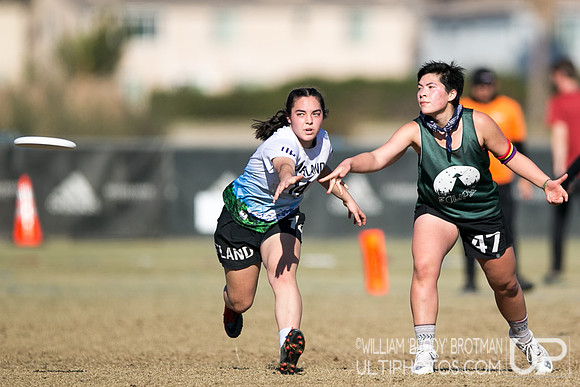 Day 3 of 2021 USA Ultimate College Championships