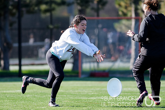 Quasar Alumnae Game - Harvard Ultimate 40th Reunion