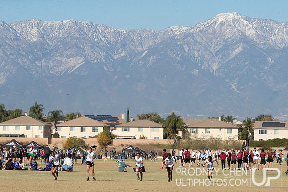 2021 USA Ultimate College Championships