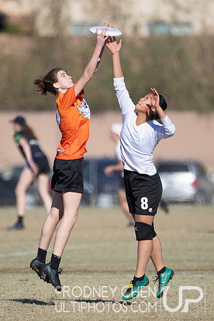2021 USA Ultimate College Championships