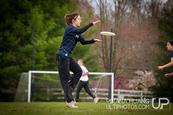 Pennsylvania D1 Women's Conference Championships 2024