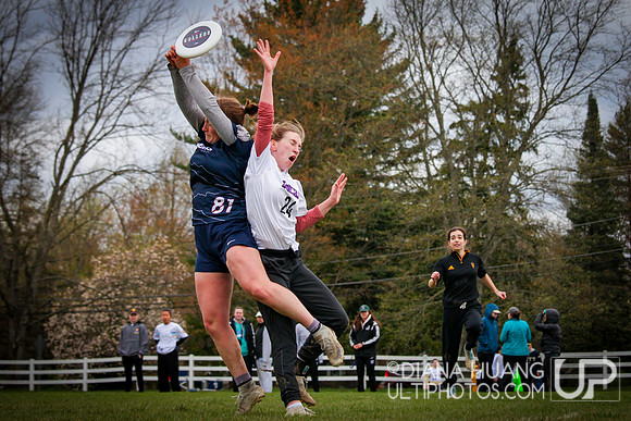 Pennsylvania D1 Women's Conference Championships 2024