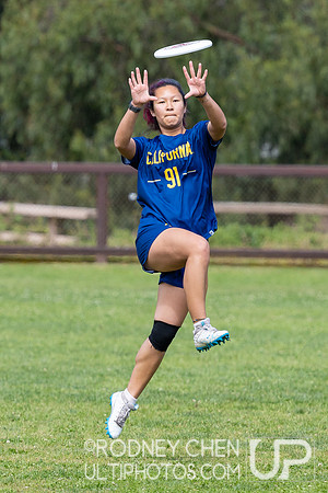 2024 USA Ultimate D1 NorCal Conference Championships