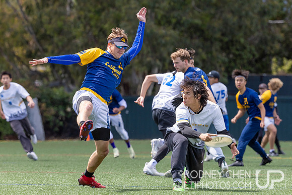 2024 USA Ultimate D1 NorCal Conference Championships