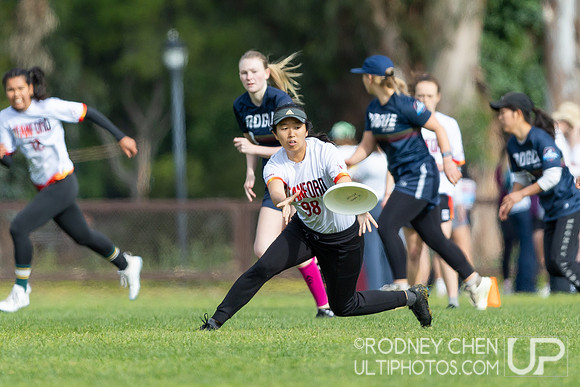 2024 USA Ultimate D1 NorCal Conference Championships