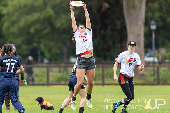 2024 USA Ultimate D1 NorCal Conference Championships