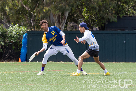 2024 USA Ultimate D1 NorCal Conference Championships