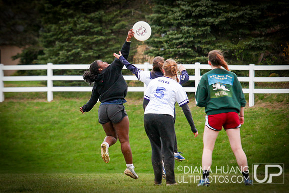 Pennsylvania D1 Women's Conference Championships 2024