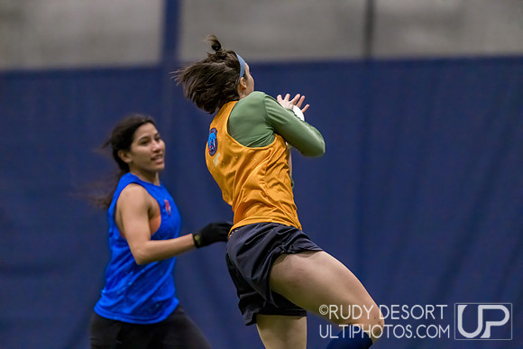 Season 2 Finals; Chicago Indoor Ultimate League