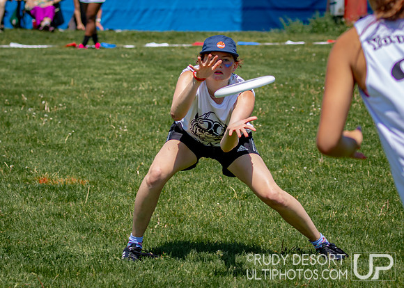 2024 USA Ultimate Division III College Championships ©