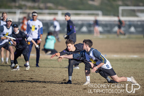 2021 USA Ultimate College Championships