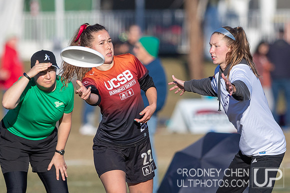 2021 USA Ultimate College Championships