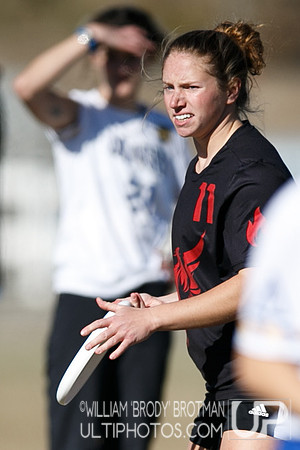 Day 2 of USA Ultimate College Championships.