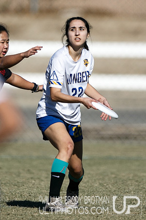 Day 2 of USA Ultimate College Championships.