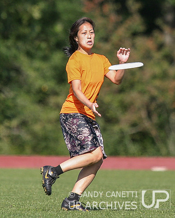 2008 Metro NY Sectionals