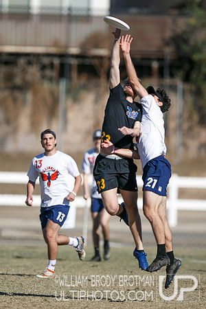 Day 2 of USA Ultimate College Championships.