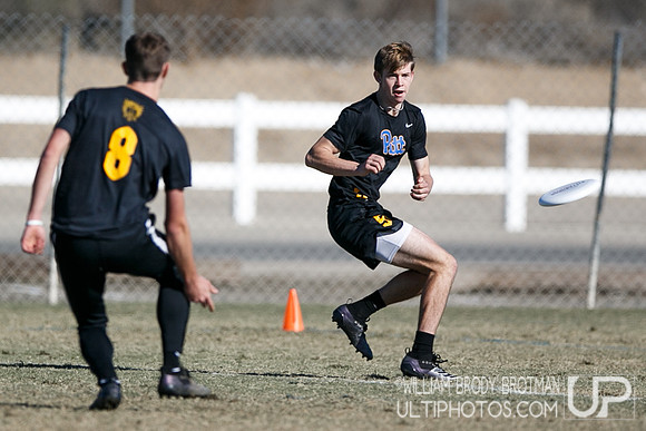Day 2 of USA Ultimate College Championships.