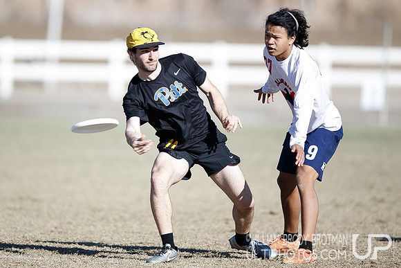 Day 2 of USA Ultimate College Championships.