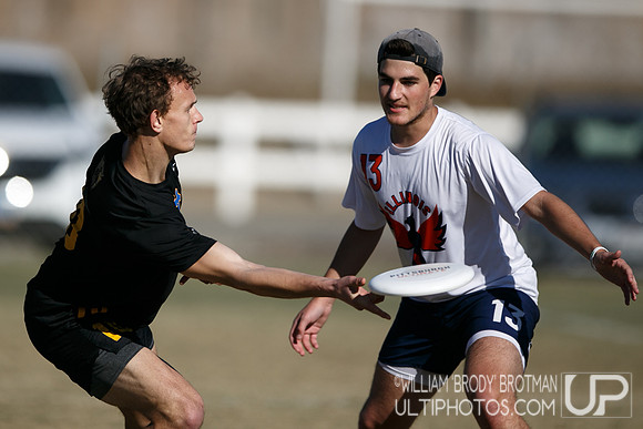 Day 2 of USA Ultimate College Championships.