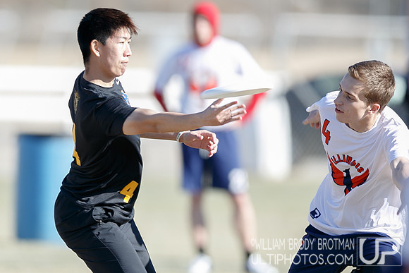 Day 2 of USA Ultimate College Championships.