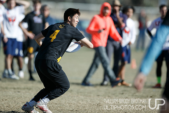 Day 2 of USA Ultimate College Championships.