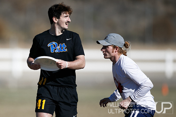 Day 2 of USA Ultimate College Championships.