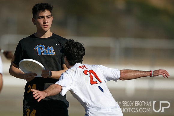 Day 2 of USA Ultimate College Championships.